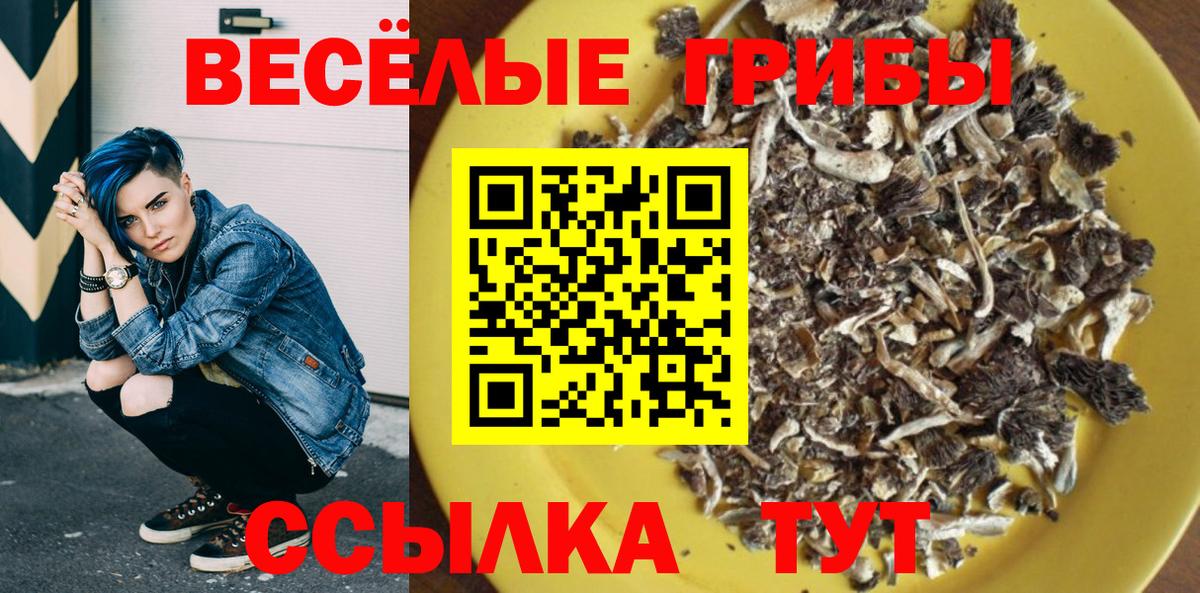 Галлюциногенные грибы мухоморы Белгород